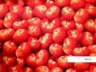 Tomatoes 1/4yd